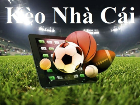 Xem VTV2 World Cup Bóng Đá Trực Tiếp