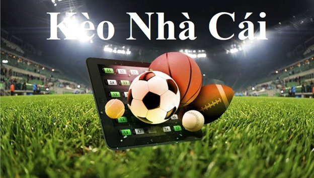 Xem VTV2 World Cup Bóng Đá Trực Tiếp